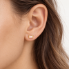 Rose Quartz Stud Earring — Genuine Rose Quartz Crystal Stud - TheCrystalBoutique™
